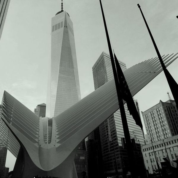 L’attribut alt de cette image est vide, son nom de fichier est Diane-Delago-New-york-Occulus-Freedom-Tower-D.jpg.